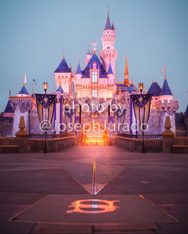 Disneyland's 100th Celebration