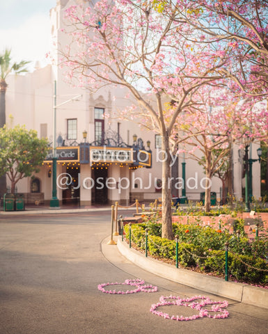 Carthay Circle Flower Hidden Mickey/Minnie