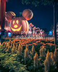 Disneyland Halloweentime