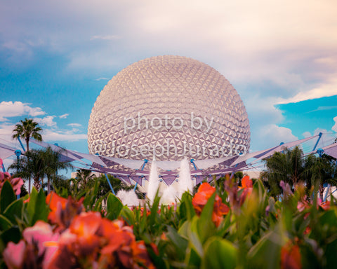 EPCOT Spaceship Earth Flowers