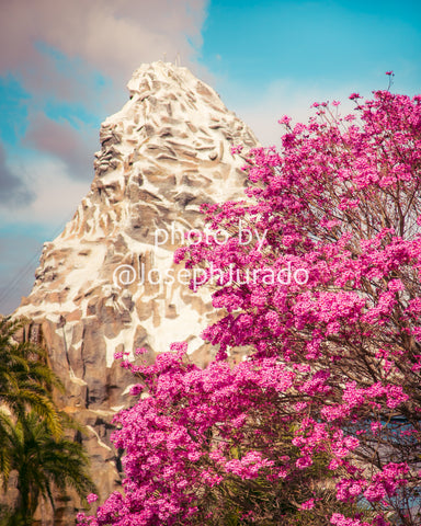 Springtime Matterhorn