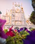 "It's a Small World" Flower Foreground