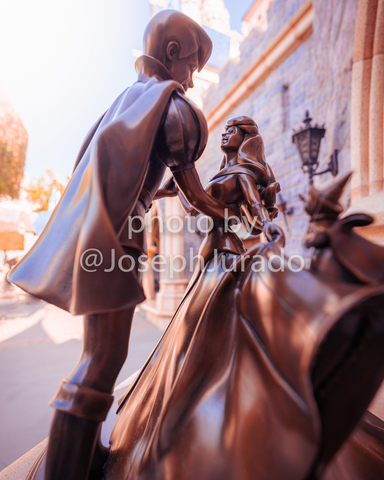 Fantasyland Princess Aurora/Prince Phillip Statue
