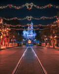 Mainstreet Christmas (middle view)