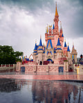 Cinderella's Castle Rainy Day
