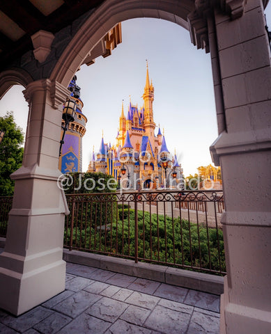 Cinderella's Castle Framed View